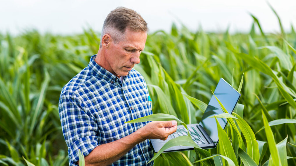 Tecnologia No Agroneg Cio Como A Inova O Pode Transformar O Setor E